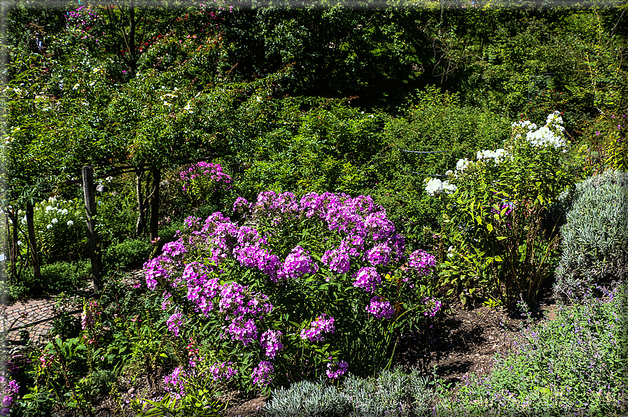 foto Giardini Trauttmansdorff - Paesaggi dell'Alto Adige